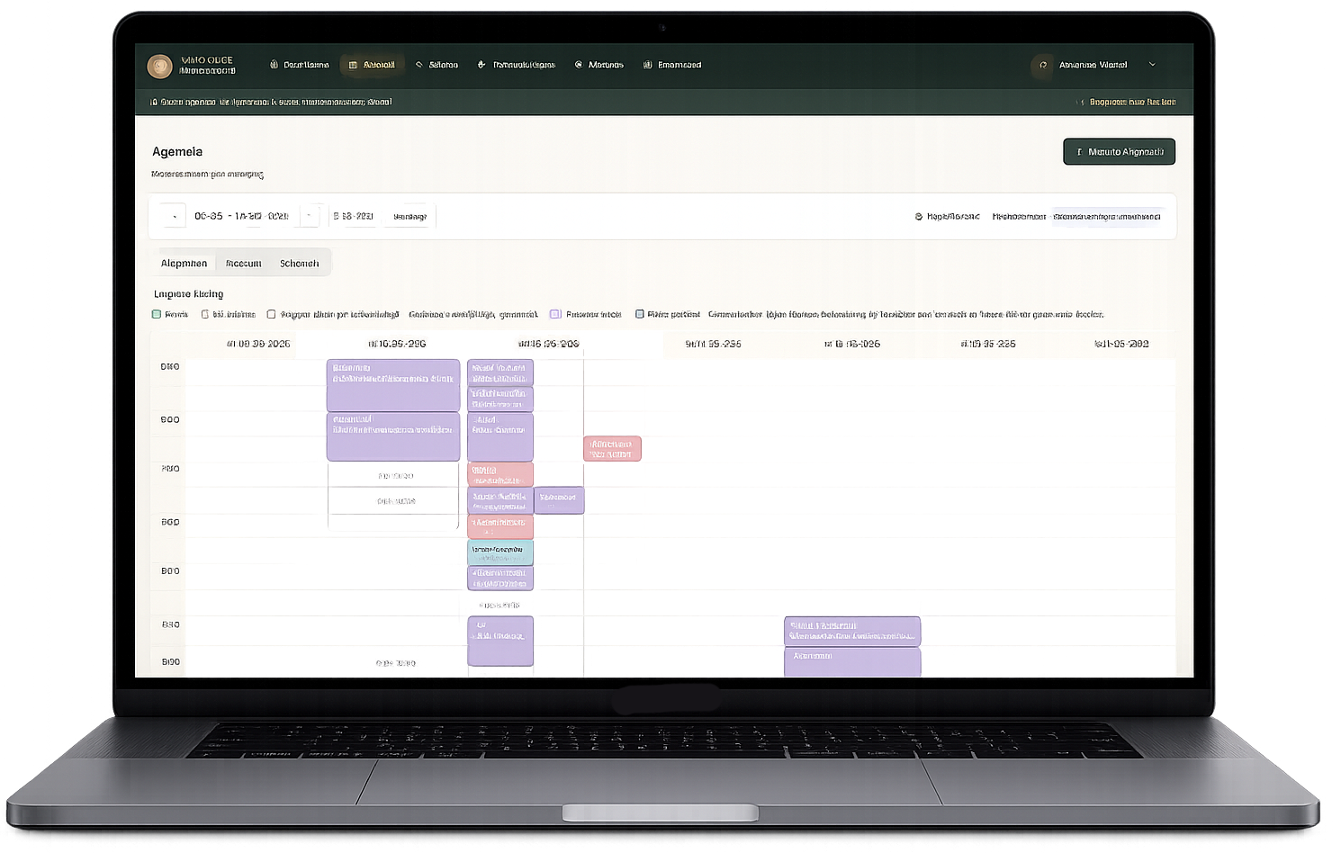 Screenshot van de Massage Manager agenda op een laptop